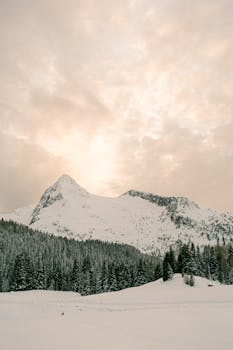 A serene winter landscape showcasing a snow-covered mountain peak and forest during sunrise.