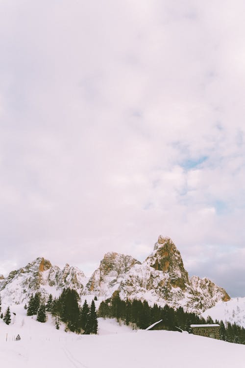 Imagine de stoc gratuită din Alpi, arbori, congela