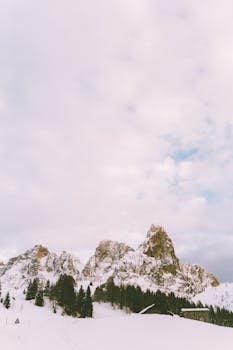 A tranquil winter scene with snow-capped mountains and coniferous trees under a soft sky.