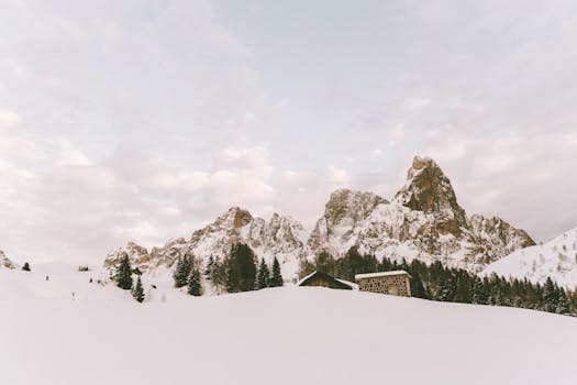 Tranquil winter scene of snow-covered peaks and pine trees.