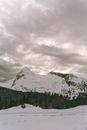 阴沉的天空下，白雪皑皑的山脉和松林构成了一片宁静的冬季景观