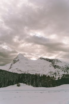 Serene winter landscape with snow-covered mountains and pine forests under a cloudy sky.