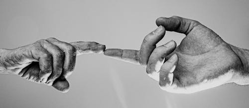 Monochrome Photo Of People's Hand