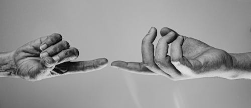 Monochrome Photo Of People's Hand