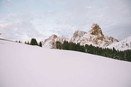Snow-covered mountains and pine trees under a calm winter sky.