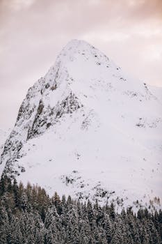 Majestic snow-covered mountain peak surrounded by tranquil winter scenery and coniferous forest.