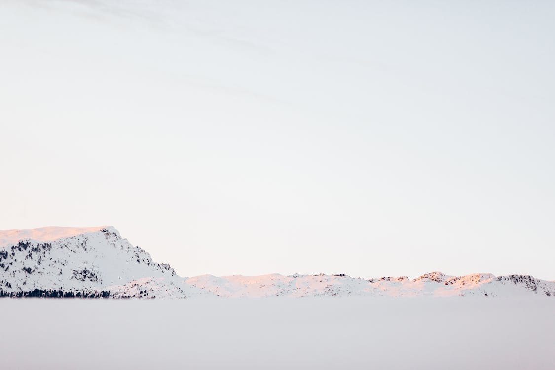 Kostnadsfri bild av dagtid, frost, frostig