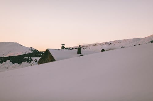 감기, 겨울, 겨울 풍경의 무료 스톡 사진