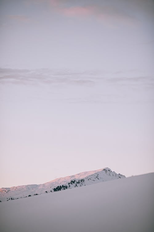 Photos gratuites de calme, enneigé, froid