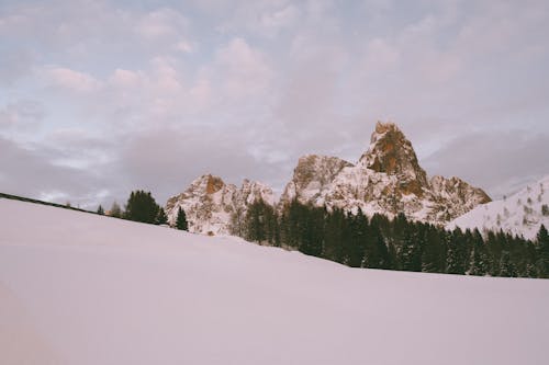 Kostenloses Stock Foto zu 4k wallpaper, alpen, bäume