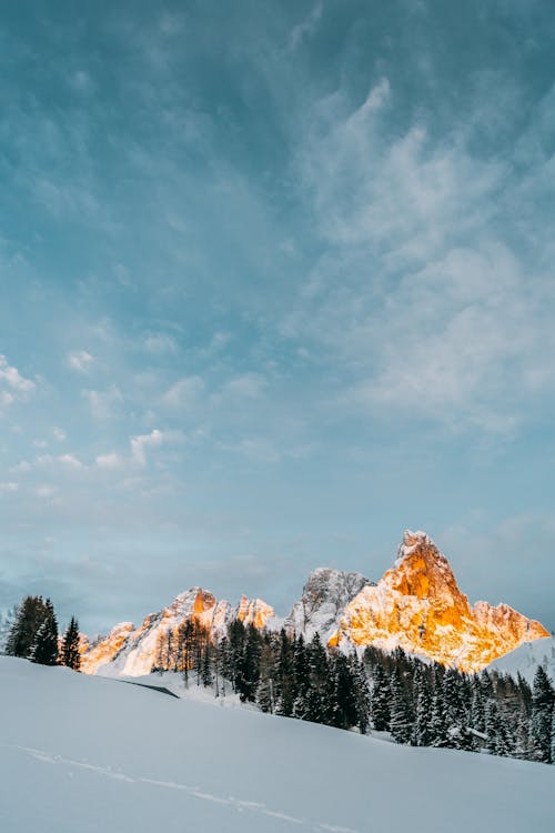 Gratuit Imagine de stoc gratuită din Alpi, arbori, congela Fotografie de stoc