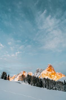 Scenic winter view of snow-capped mountains and pine trees during sunrise.