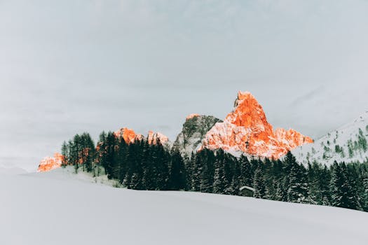 日落时分，白雪皑皑的山脉闪闪发光，四周环绕着宁静的松林