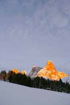 A breathtaking view of snow-capped mountain peaks illuminated by the sunrise, surrounded by peaceful pine forests.