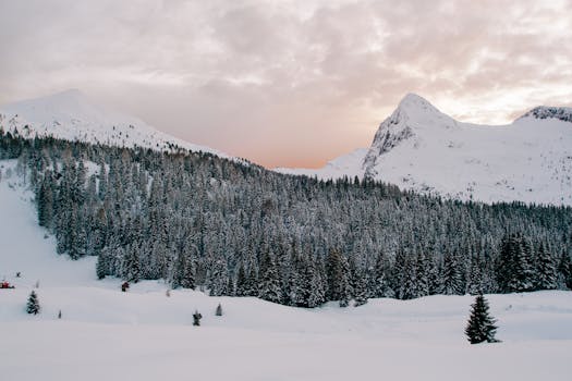 Peaceful winter scene with snow-capped mountains and pine forests at sunset.