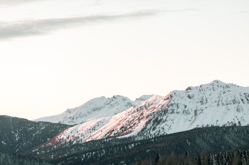 Photo Of Coniferous Trees Beside Mountains 