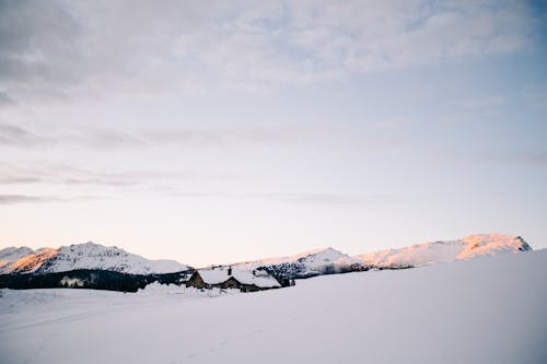 Immagine gratuita di congelando, congelare, fotografia della natura