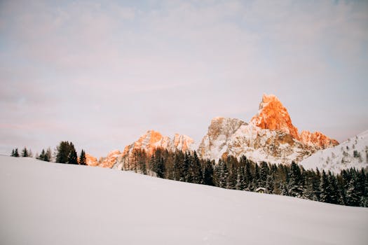 Stunning sunrise over snow-covered mountains and pine trees.