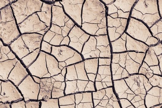 Cracked Dry Land 