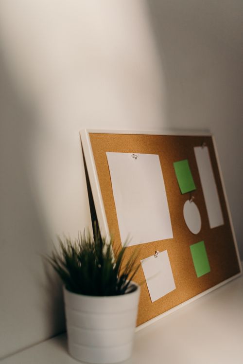 Free A corkboard with blank papers and a potted plant in a minimalist setting, ideal for mockups. Stock Photo