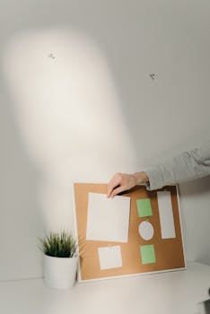 Minimalist workspace featuring a corkboard, blank notes, and a potted plant bathed in sunlight.