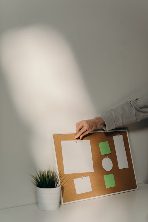 Free Person Holding Brown and White Box Stock Photo