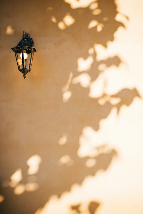 Black Sconce Lamp on Brown Wall