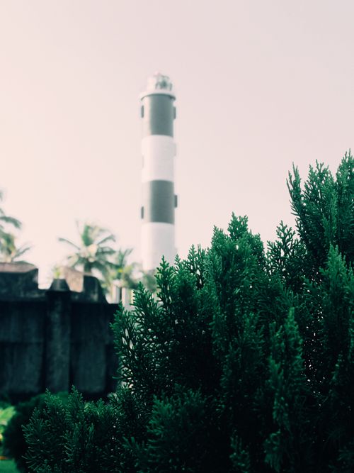 Free Lighthouse towering over green shrubs, creating a tranquil coastal scene. Perfect for travel and nature lovers. Stock Photo