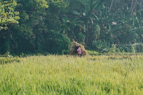 Photo of Person on Green Grass Field