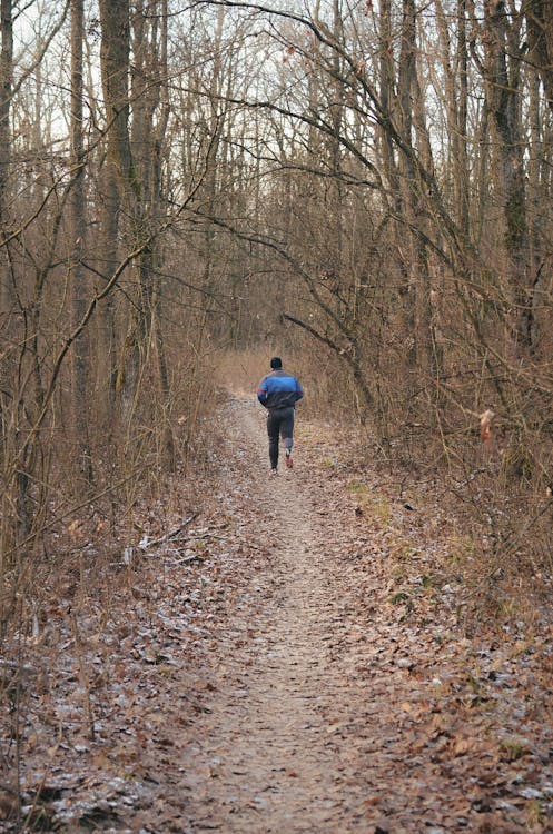 Free stock photo of athlete, download, forest