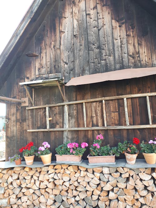 Free stock photo of house, ladder, woodwall