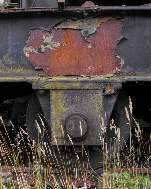Free stock photo of abandoned, algae, derelict Stock Photo