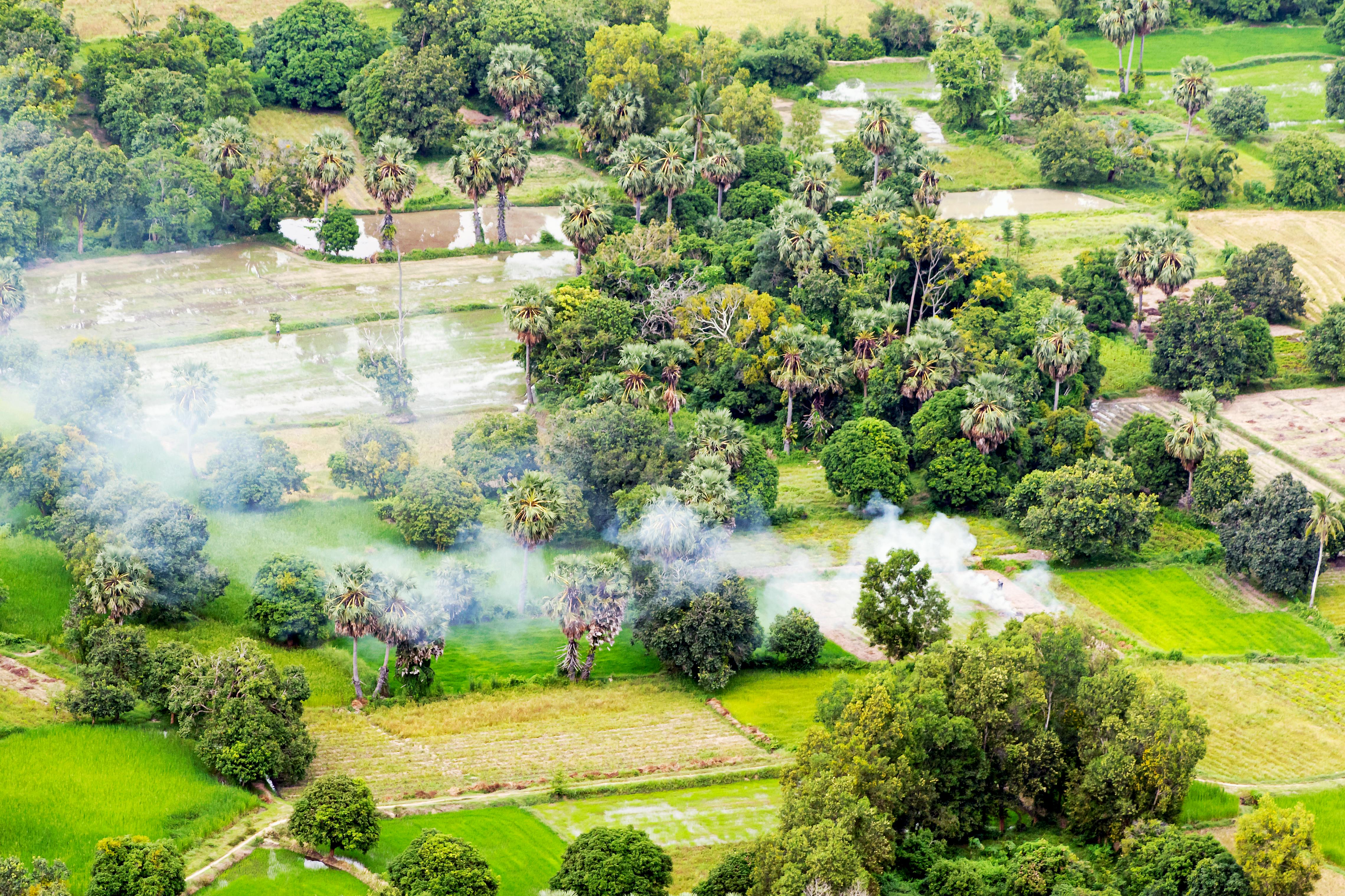 Violence Linked to Land Conflicts in Brazil Doubles, Indigenous Communities in Amazon Most Affected