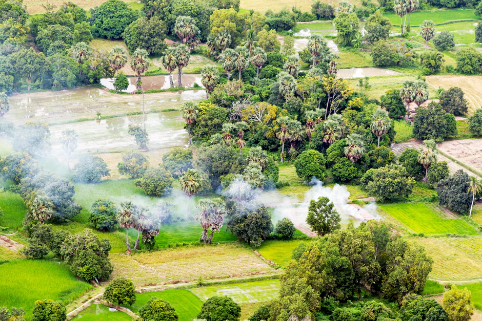 Violence Linked to Land Conflicts in Brazil Doubles, Indigenous Communities in Amazon Most Affected