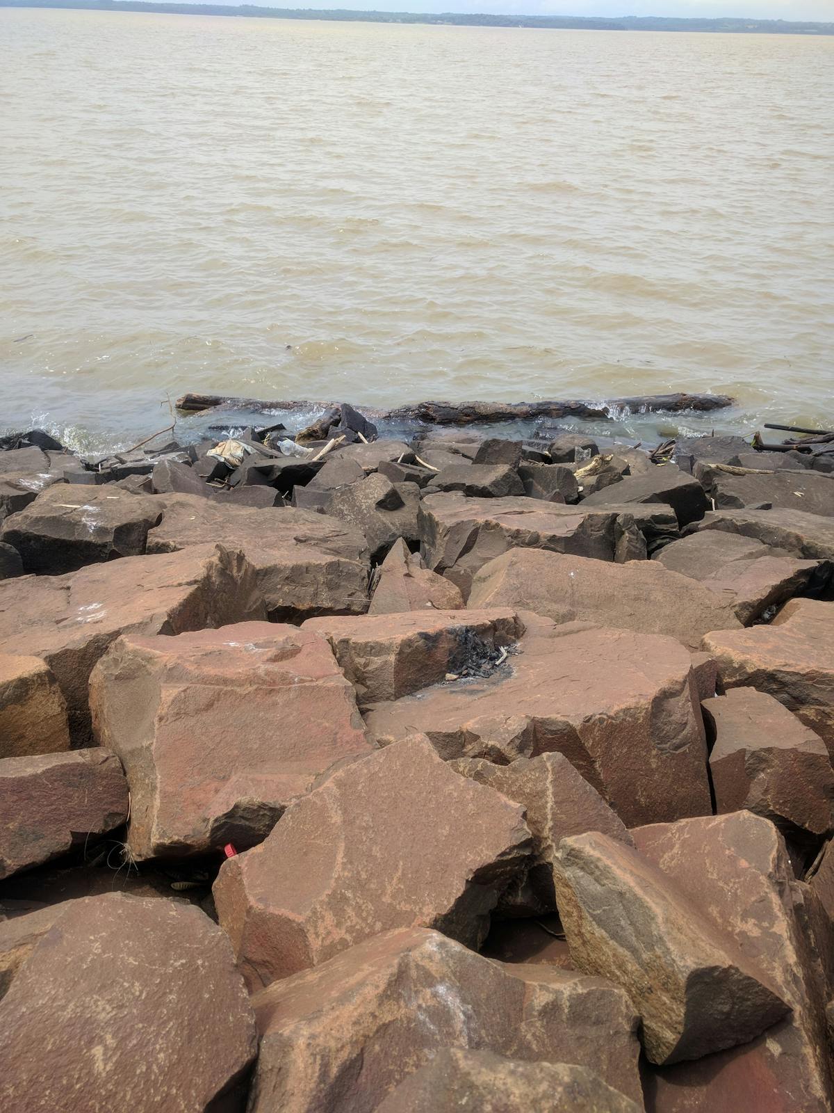 High-protein meal spread including bowls, wraps, and salad