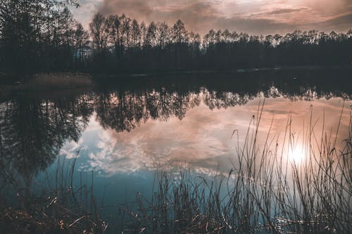 Kostnadsfri bild av moln, reflektion, sjö