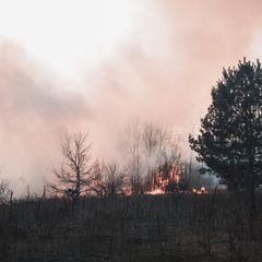 Wildfire in Corinthia: Firefighters Battle Blaze in Stimagka