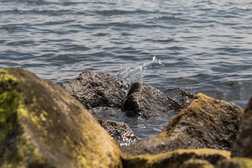 Rocks on Body of Water