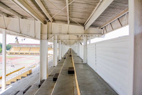 Foto profissional grátis de estádio, parque público