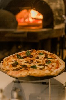 Delicious Margherita pizza fresh from a wood-fired oven with basil. Perfect for Italian cuisine lovers.