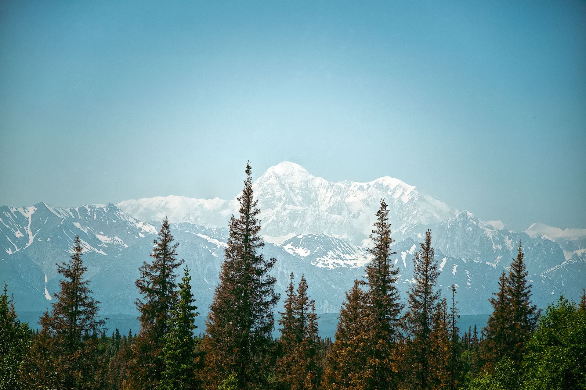Denali