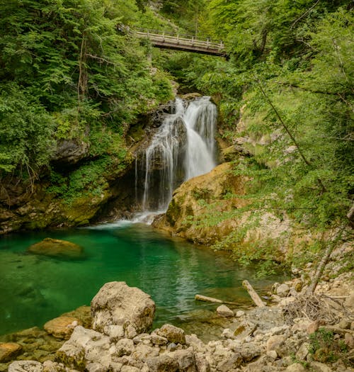 Picturesque green forest with waterfall and small lake