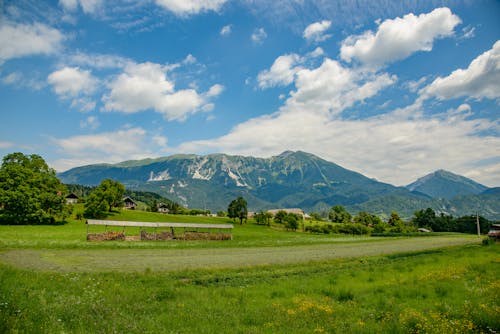 Peaceful countryside with well groomed green fields and trees  located against high mountains on sunny day