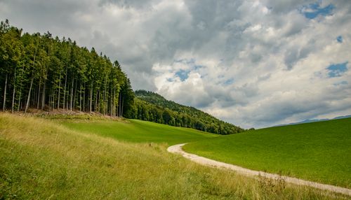 Free Beautiful landscape with a winding path through green meadows and dense forest under a cloudy sky. Stock Photo