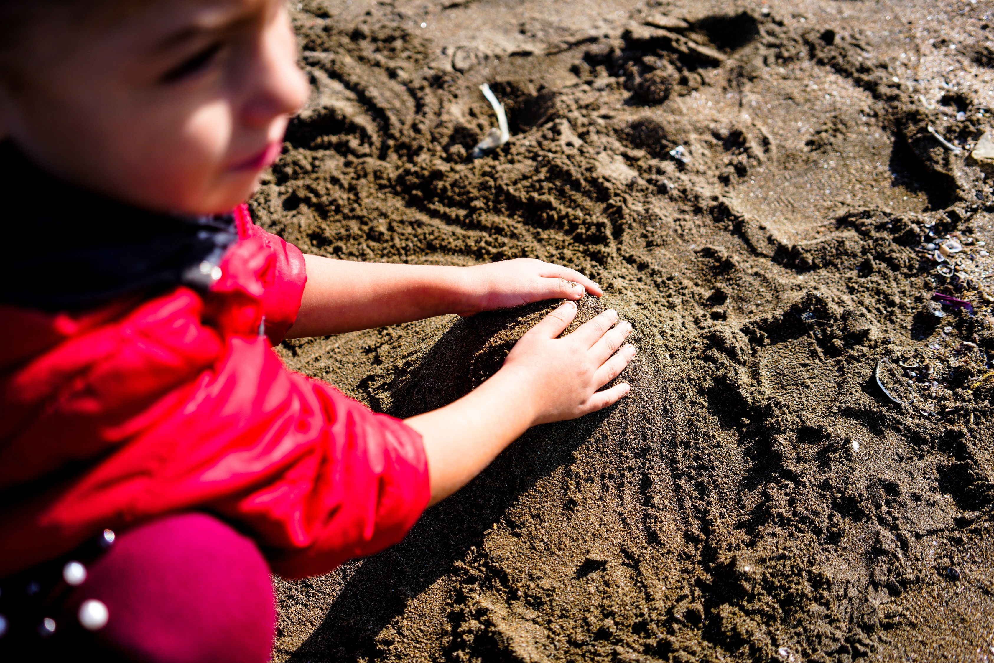 Kids Getting Sandy Crop cute kid playing on wet sandy beach · Free Stock Photo