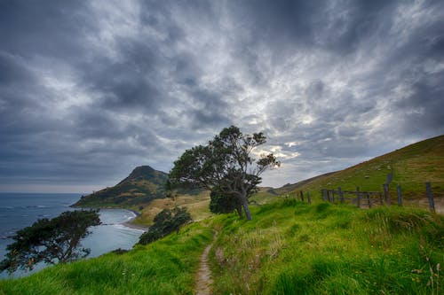 Sentier Près De La Clôture Et De La Falaise Pendant La Journée