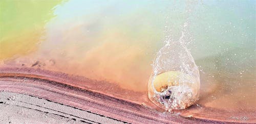 Photos gratuites de accueil temps libre, goutte d'eau colorée, goutte d'eau dans la rivière