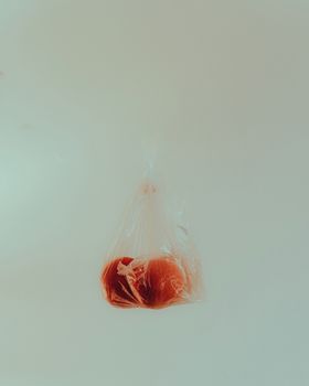 白天的白墙上挂着一个塑料袋，里面装着新鲜成熟的红甜桃