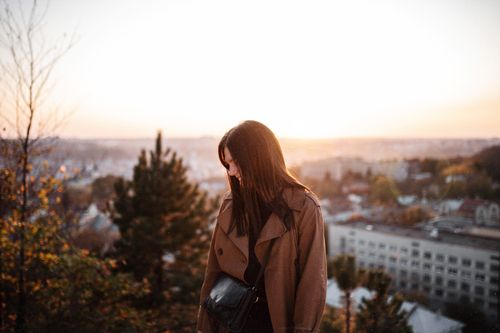Free A woman enjoys a serene autumn sunset overlooking Vienna's cityscape. Stock Photo