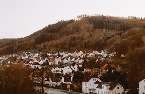 White and Brown Houses Near Brown Trees